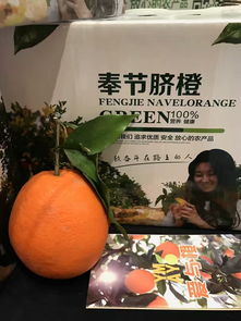 奉节脐橙全网开卖，政府出“大招” 营销大户最高可获百万奖励